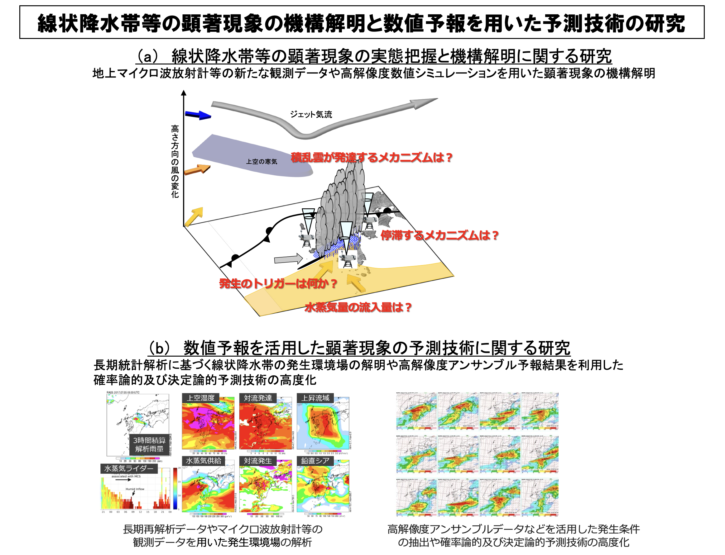 研究概要