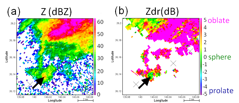 Horizontal field of reflectivity