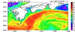 Ocean Simulation around Japan