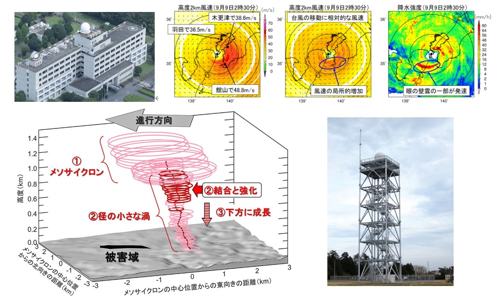 研究例の図