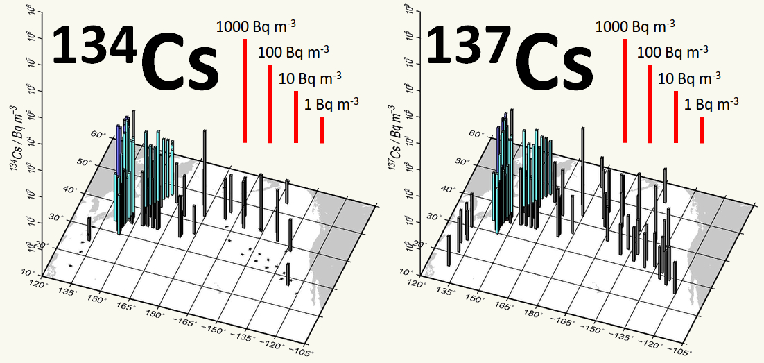 Distribution of 134Cs and 137Cs activities in the surface seawater