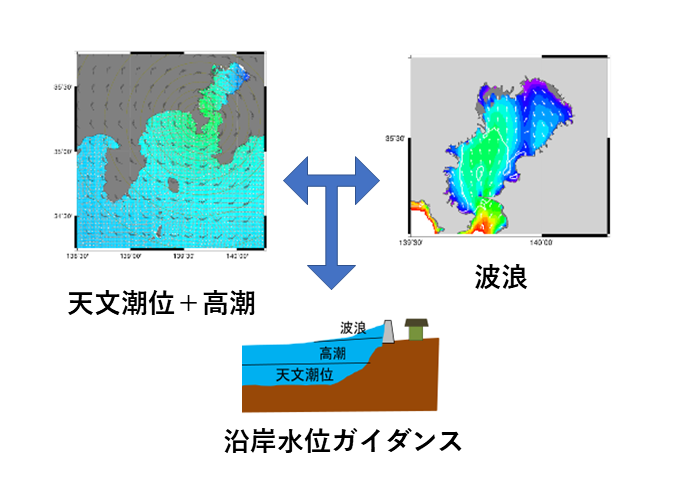 沿岸情報