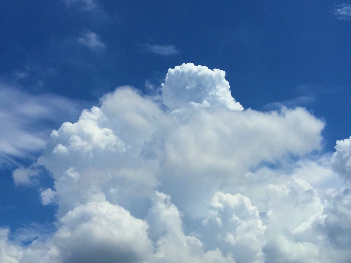 雲の微物理過程の研究