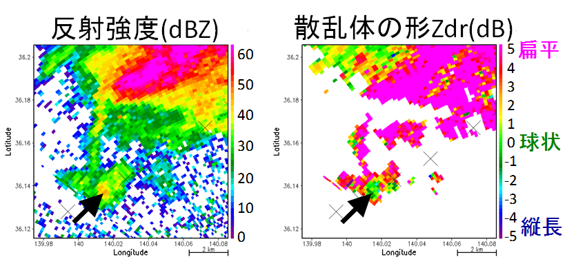 竜巻の親雲の水平断面図